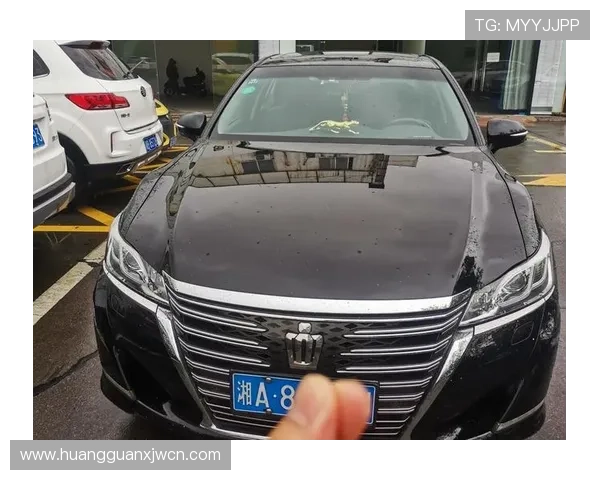 皇冠最新app版本下载官方渠道，安全稳定快速获取最新版本