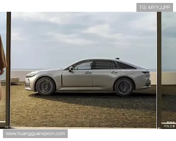 皇冠进口产品多样选择满足不同消费者的个性化需求 皇冠进口产品多样选择满足不同消费者的个性化需求