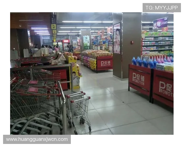 大阳城地址平台安全登录指南及常用地址更新信息全攻略